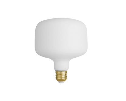 LED T185 light bulb
